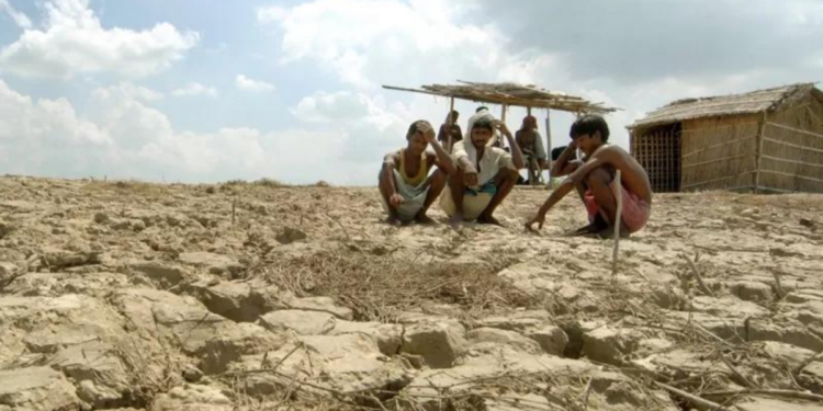 बिहार में बारिश की बेरुख़ी, सूखे की मार से किसान मुसीबत में
