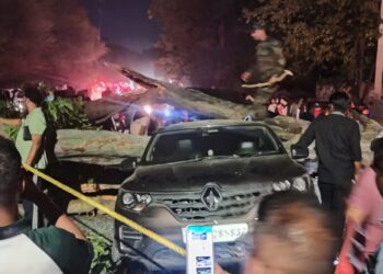 पीडब्ल्यूडी की बड़ी लापरवाही आई सामने, रोड जाम किए बगैर काट रहे थे बड़ा पेड़, भरभराकर चलती कारों में गिरा, आर्मी सेना की कार सहित तीन वाहन आए चपेट में, सेना के जवान सहित चार लोग हुए घायल