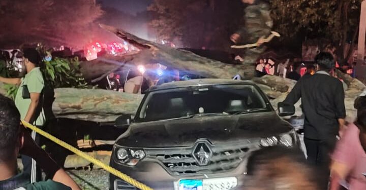 पीडब्ल्यूडी की बड़ी लापरवाही आई सामने, रोड जाम किए बगैर काट रहे थे बड़ा पेड़, भरभराकर चलती कारों में गिरा, आर्मी सेना की कार सहित तीन वाहन आए चपेट में, सेना के जवान सहित चार लोग हुए घायल
