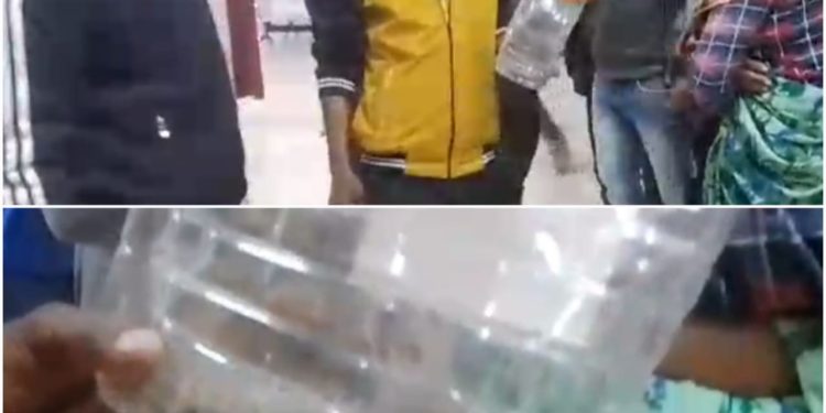 बेटी को डसने वाले सांप को लेकर पिता पहुंचा अस्पताल, डॉक्टर और मरीज सब देखकर रह गए हैरान