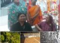 सागर की इंदिरा कॉलोनी में मीना पिम्पलापुरे (ताई) के बगीचा मे रहने वाले जहरीले जीवों सांप, गुहेरा, कबर बिज्जुओं का आतंक, पेड़ों के गिरने और उनसे घरों में आने लगी दरारें, सालों से बना है लोगों की जान को खतरा, इतनी शिकायतों के बाद आज-तक नही हो सका कोई निदान