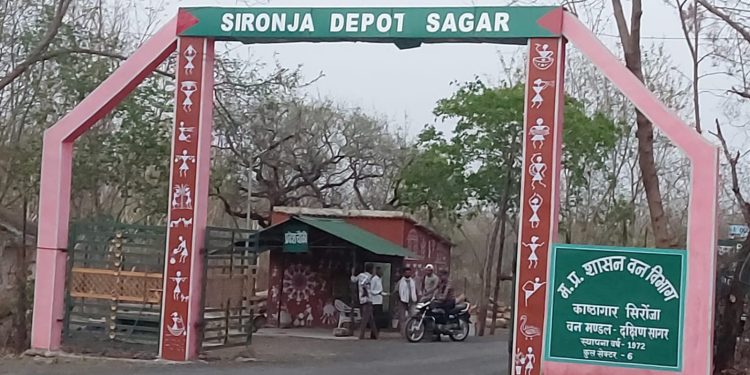 सागर संभाग की सबसे बड़ी सिरोंजा काष्ठागार में नही कोई सीसीटीवी कैमरा, 300 एकड़ एरिया में फैले हजारों घन मीटर करोड़ों की सागौन लकड़ी के चौबीसों घण्टे की सुरक्षा दर्जन भर सुरक्षाकर्मियों के भरोसे