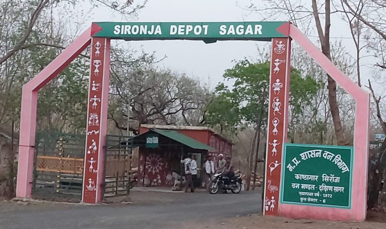 सागर संभाग की सबसे बड़ी सिरोंजा काष्ठागार में नही कोई सीसीटीवी कैमरा, 300 एकड़ एरिया में फैले हजारों घन मीटर करोड़ों की सागौन लकड़ी के चौबीसों घण्टे की सुरक्षा दर्जन भर सुरक्षाकर्मियों के भरोसे