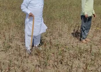 किसानों की हालत पर मंत्री गोविंद सिंह के बड़े भाई का दर्द: “सोयाबीन की फसल में इस बार कोई लाभ नहीं”
