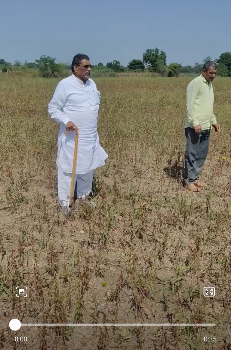 किसानों की हालत पर मंत्री गोविंद सिंह के बड़े भाई का दर्द: “सोयाबीन की फसल में इस बार कोई लाभ नहीं”
