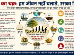 एक इंसान की जिंदगी देखिए, शायद आपको ईश्वर का चक्र समझ आ जाए